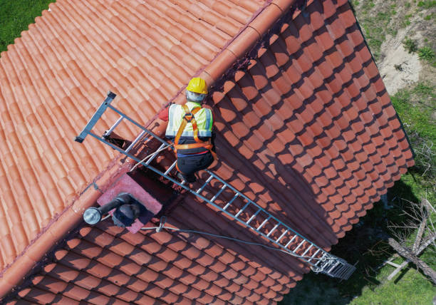 Best Green or Eco-Friendly Roofing Solutions  in Elgin, SC