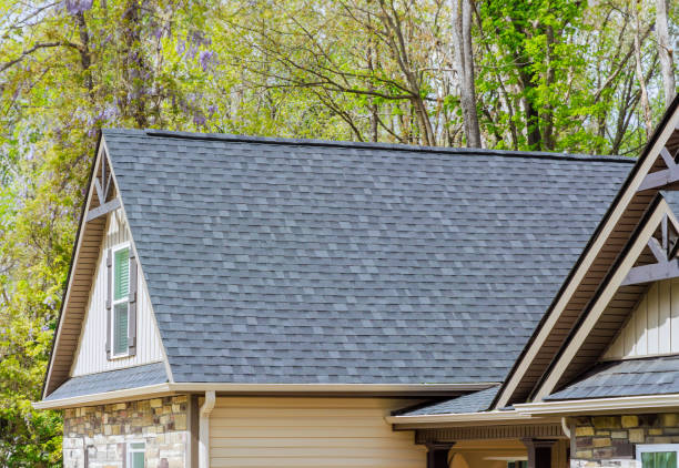 Best Sheet Metal Roofing  in Elgin, SC